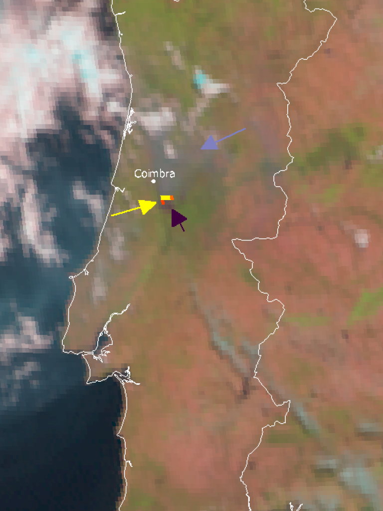 Devastating wildfires in Portugal Devastating wildfires in Portugal